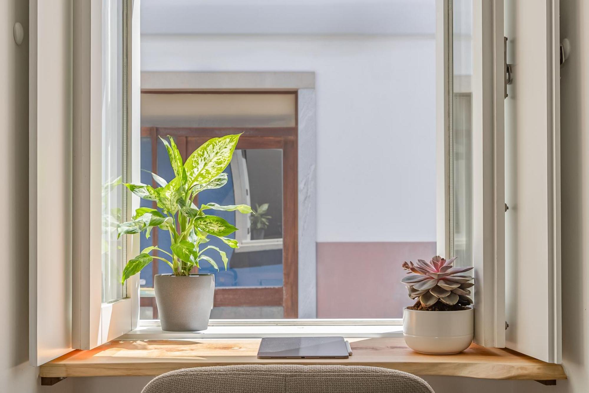 라고스 Casa Tamar 아파트 외부 사진